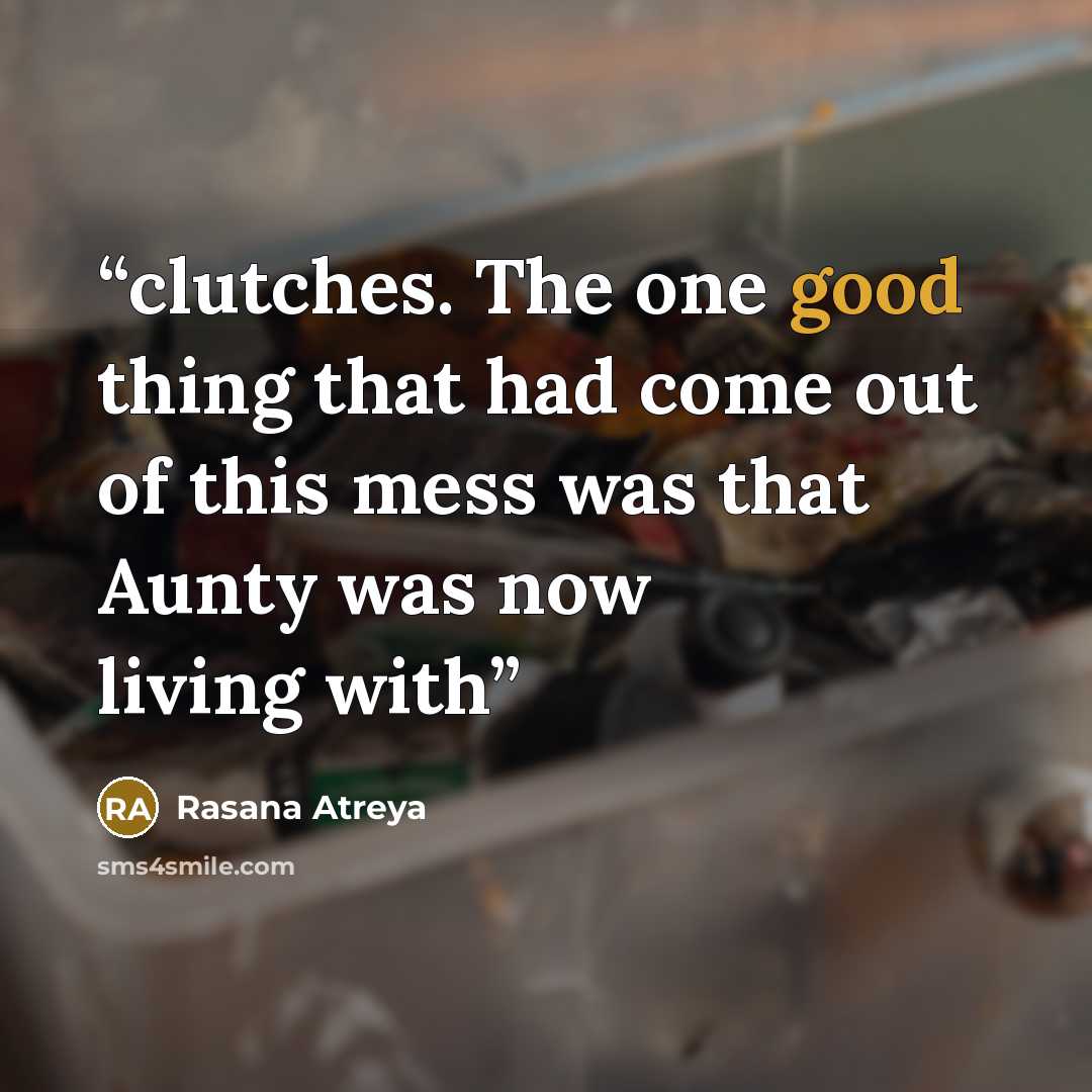 “clutches. The one good thing that had come out of this mess was that Aunty was now living with” quote by Rasana Atreya