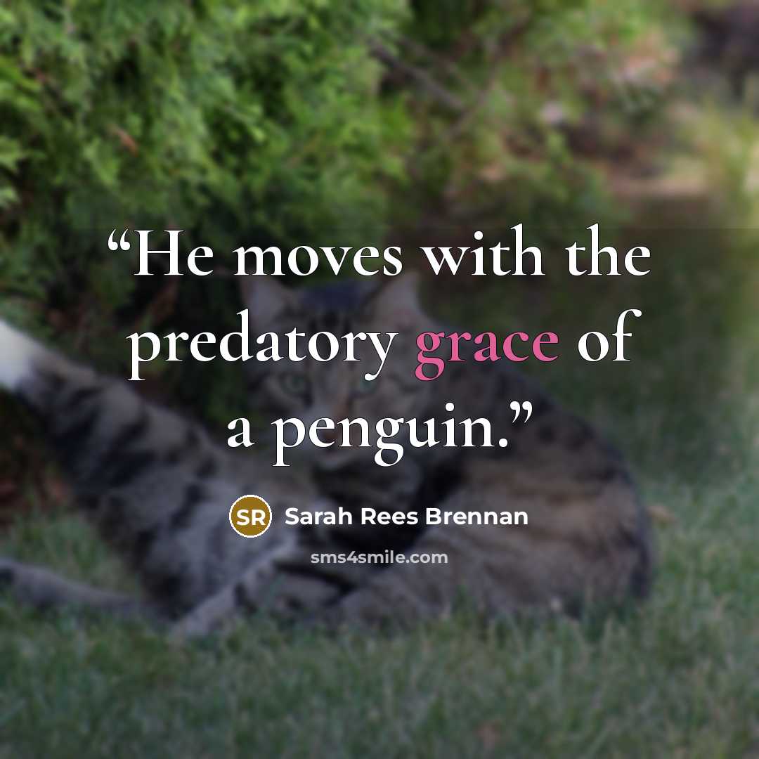 “He moves with the predatory grace of a penguin.” quote by Sarah Rees Brennan