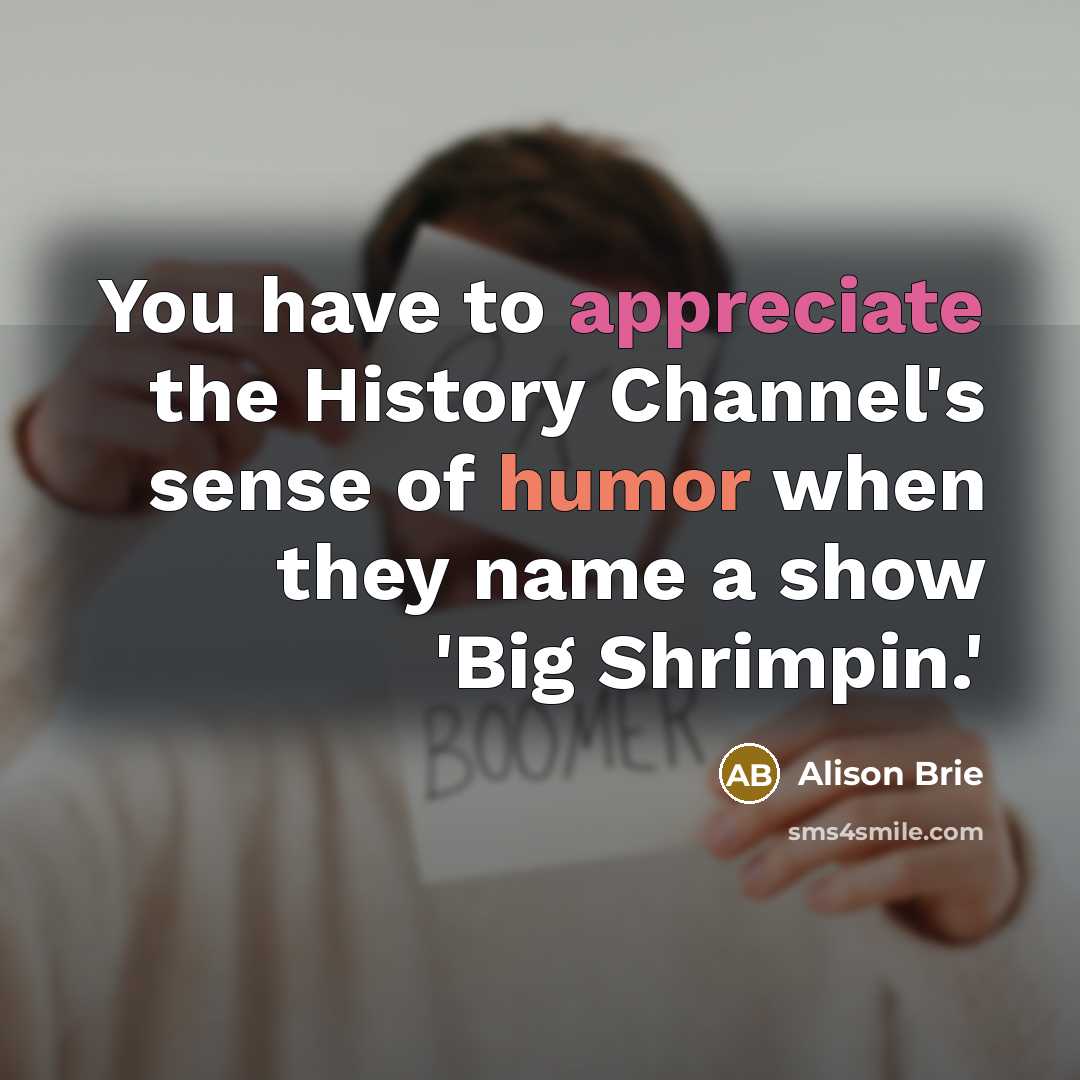 “You have to appreciate the History Channel's sense of humor…” quote by Alison Brie