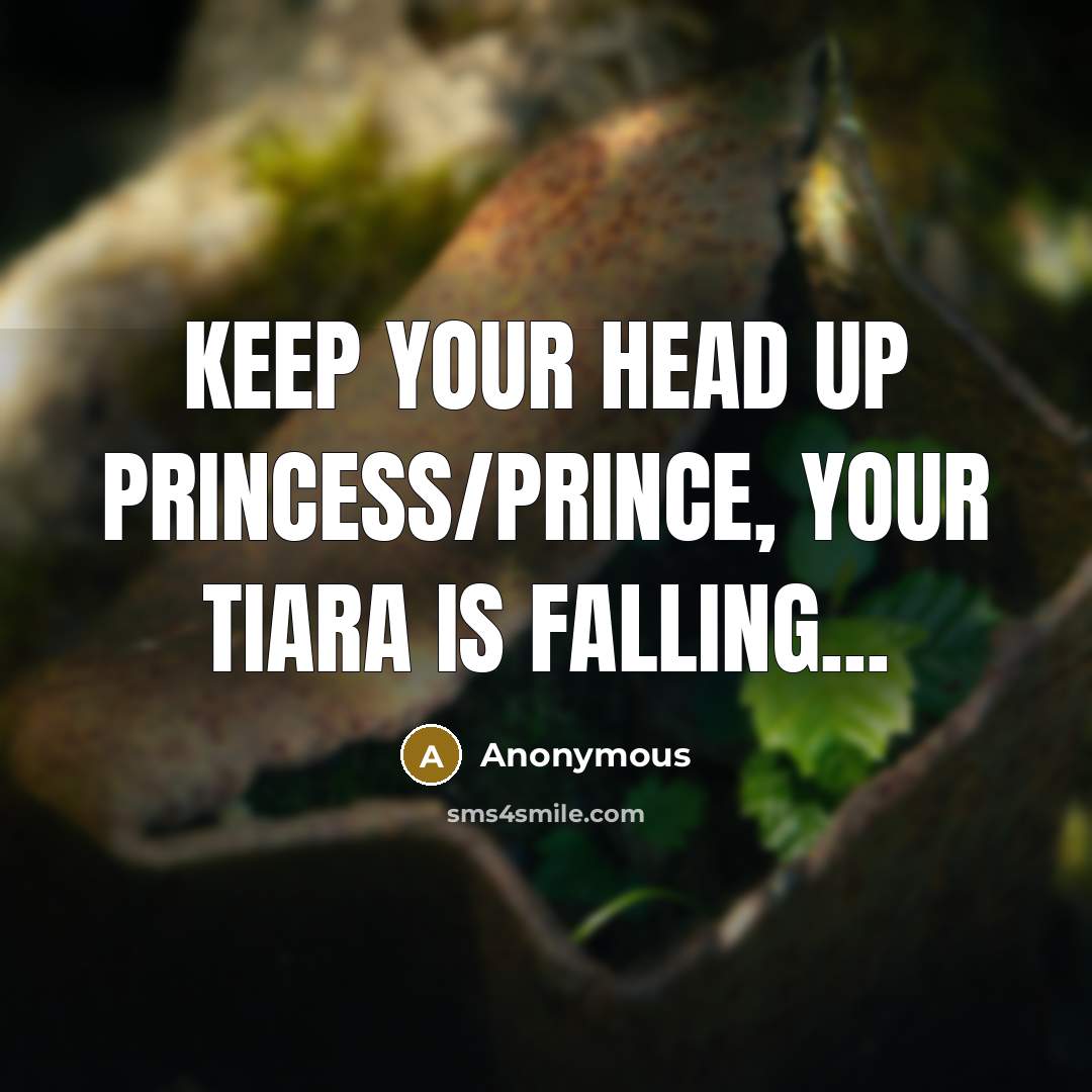 “Keep your head up Princess/Prince, your TIARA is falling...” quote by Anonymous