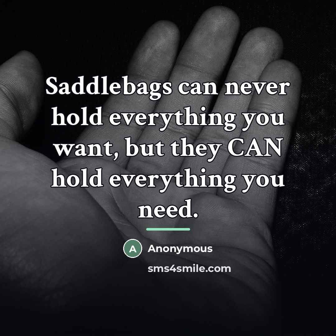 “Saddlebags can never hold everything you want, but they CAN…” quote by Anonymous