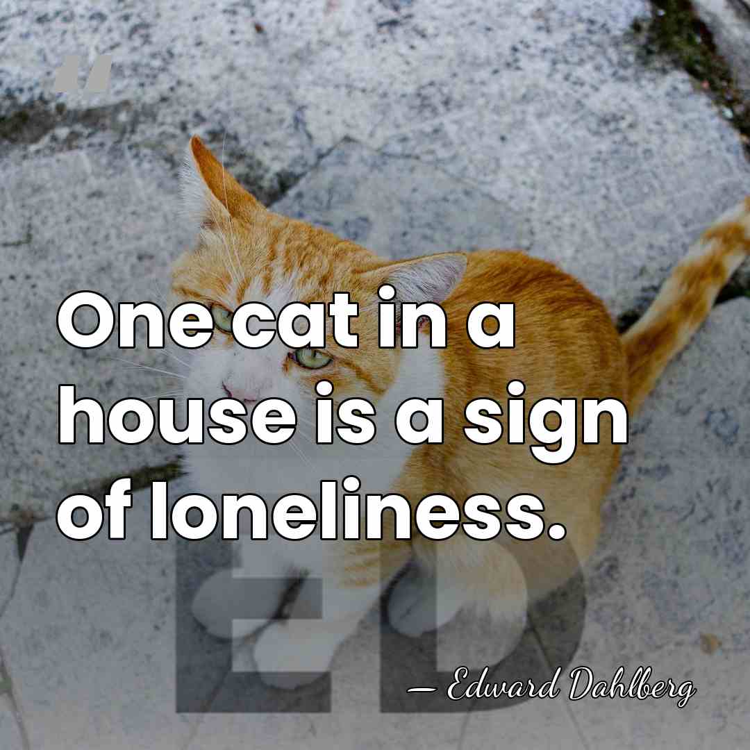 One cat in a house is a sign of loneliness. - Edward Dahlberg