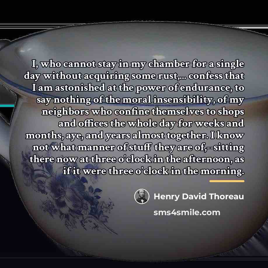 “I, who cannot stay in my chamber for a single…” quote by Henry David Thoreau