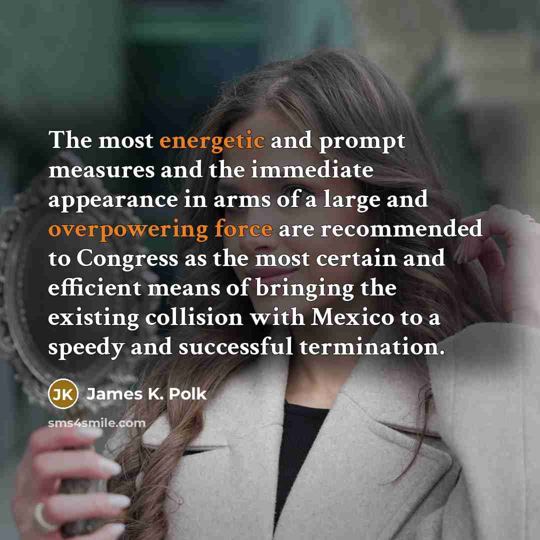 “The most energetic and prompt measures and the immediate appearance…” quote by James K. Polk