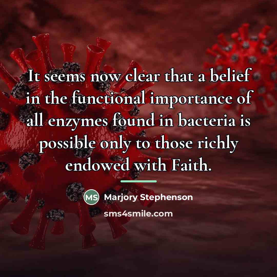 “It seems now clear that a belief in the functional…” quote by Marjory Stephenson