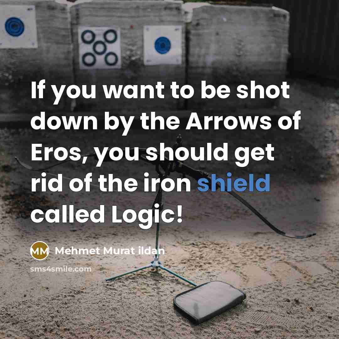 “If you want to be shot down by the Arrows…” quote by Mehmet Murat Ildan