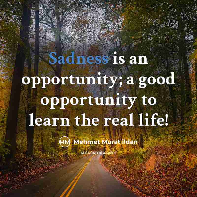 “Sadness is an opportunity; a good opportunity to learn the…” quote by Mehmet Murat Ildan