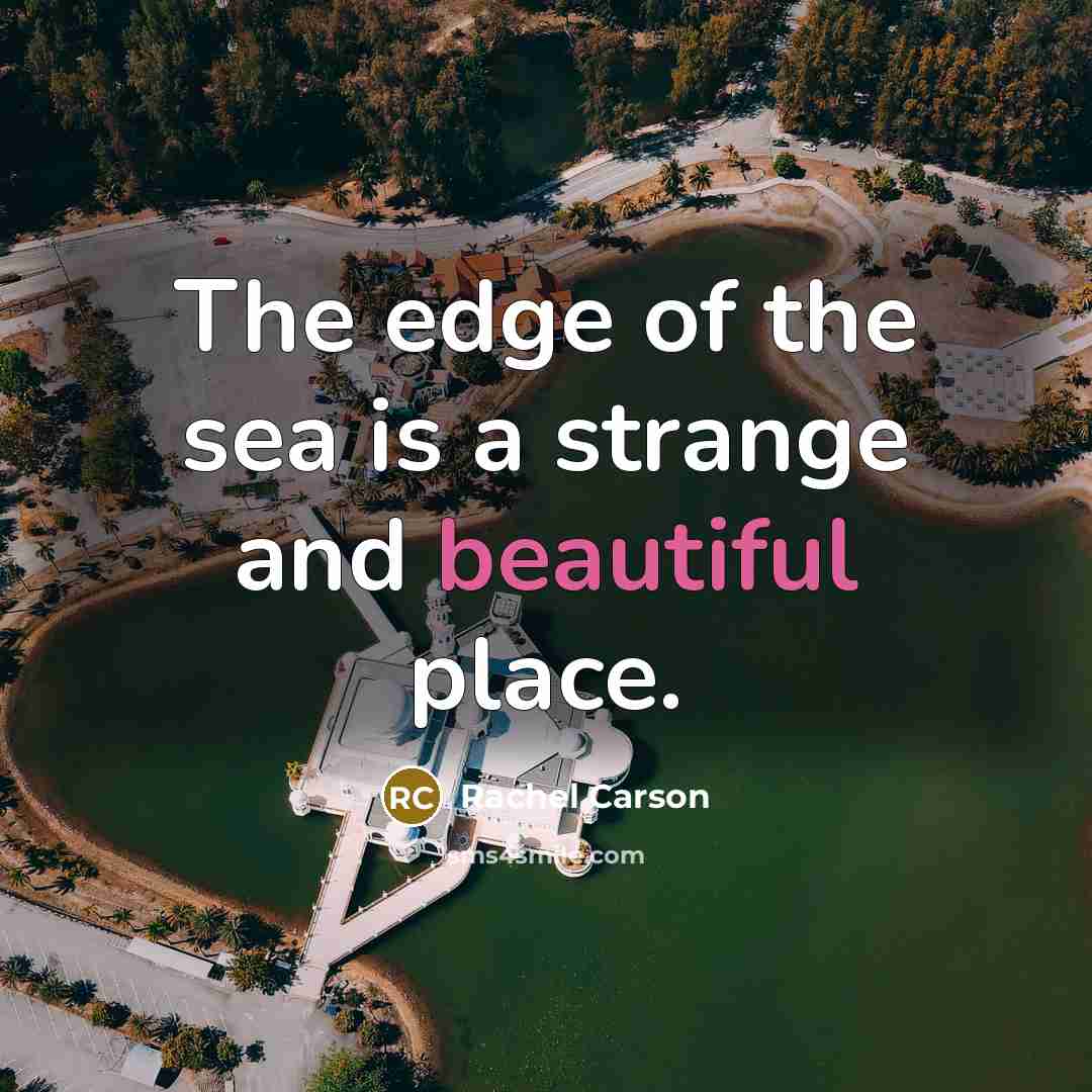 “The edge of the sea is a strange and beautiful…” quote by Rachel Carson