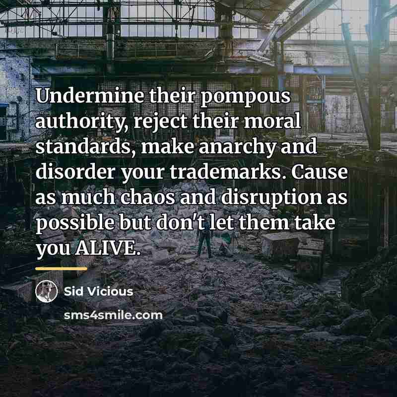 “Undermine their pompous authority, reject their moral standards, make anarchy…” quote by Sid Vicious