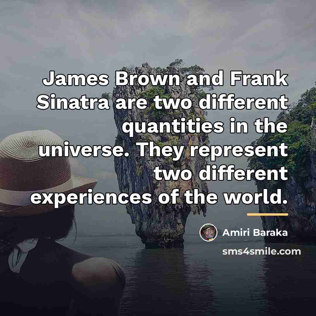 “James Brown and Frank Sinatra are two different quantities in…” quote by Amiri Baraka