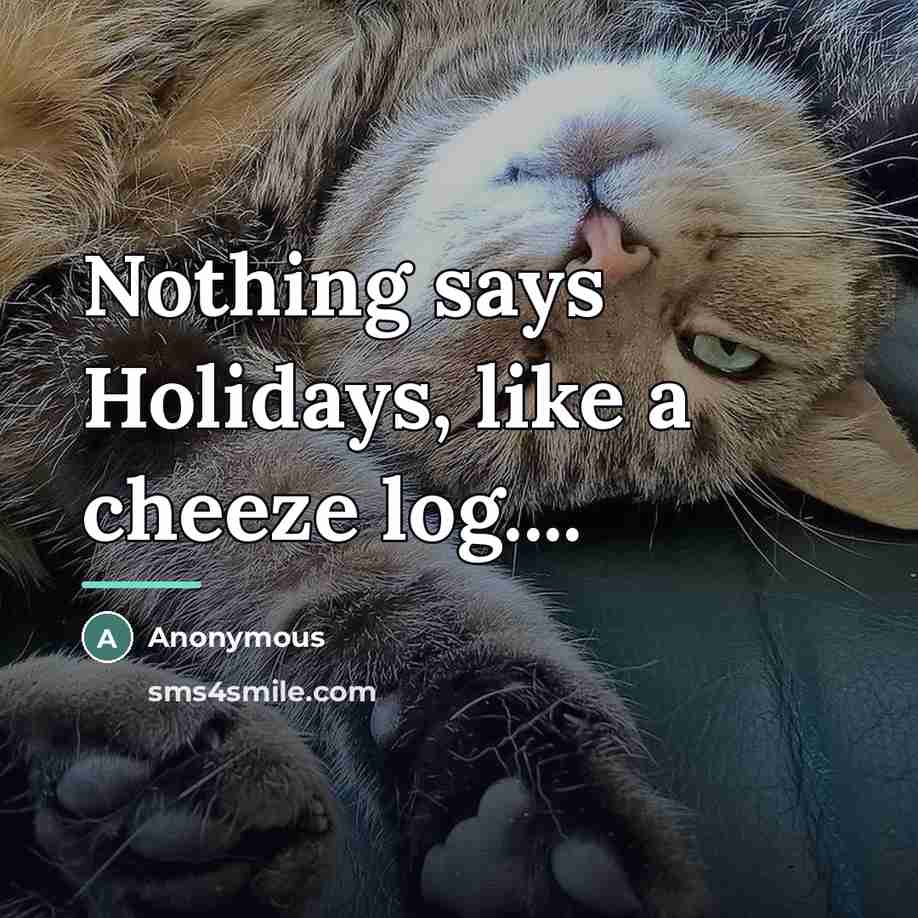 “Nothing says Holidays, like a cheeze log....…” quote by Anonymous