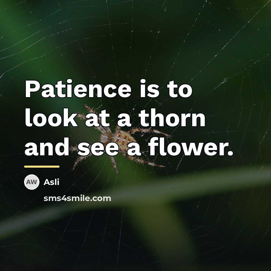 “Patience is to look at a thorn and see a…” quote by Asli