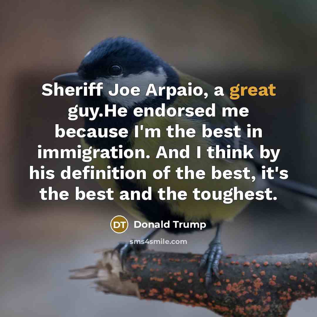 “Sheriff Joe Arpaio, a great guy.He endorsed me because I'm…” quote by Donald Trump