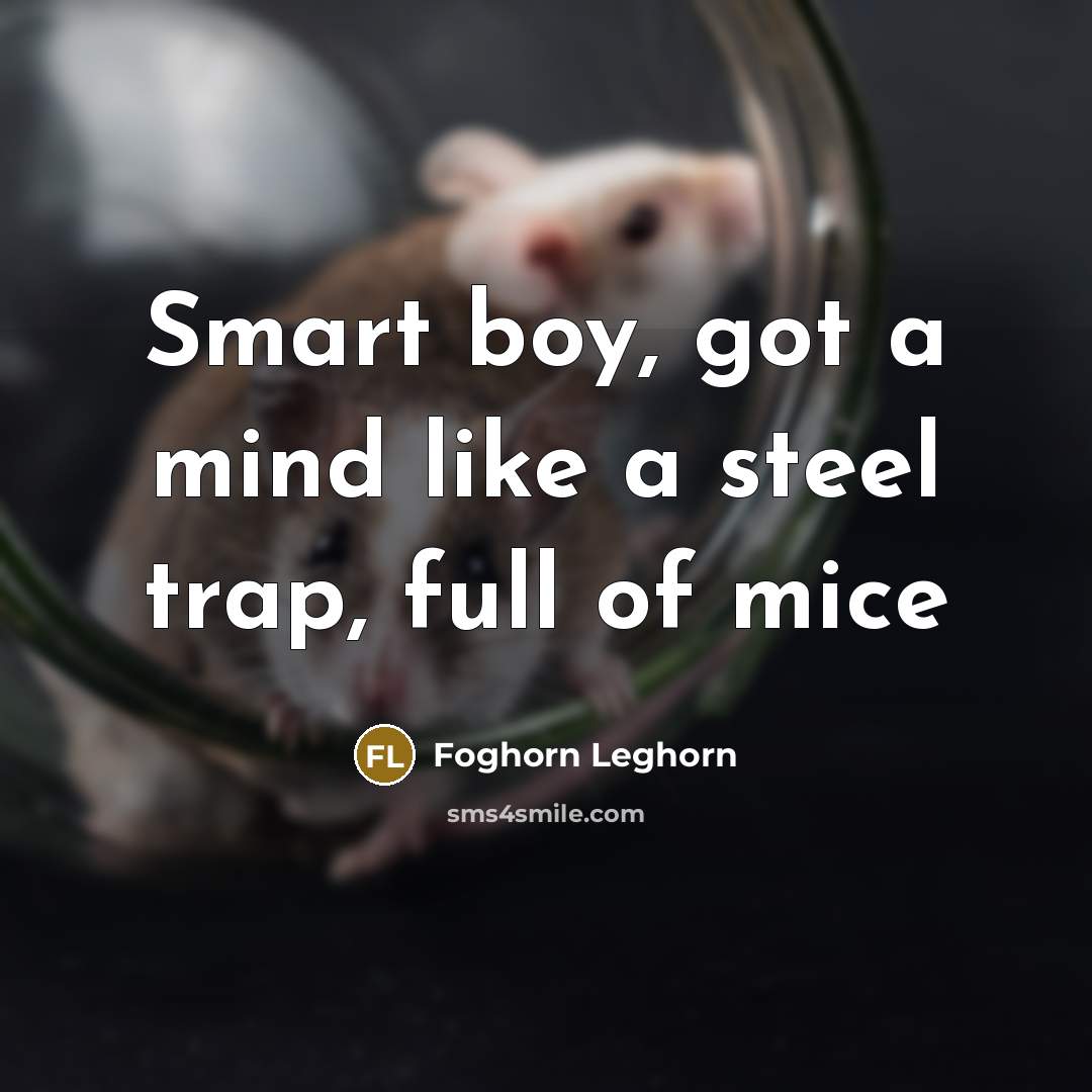 “Smart boy, got a mind like a steel trap, full of mice” quote by Foghorn Leghorn