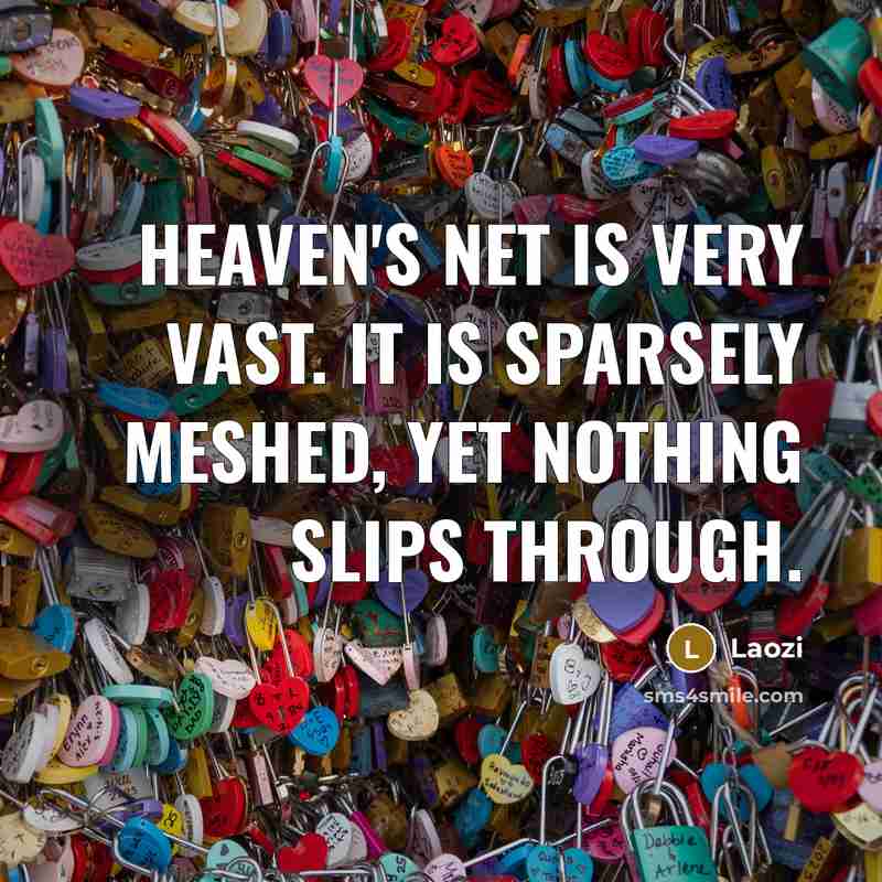 “Heaven's net is very vast. It is sparsely meshed, yet…” quote by Laozi