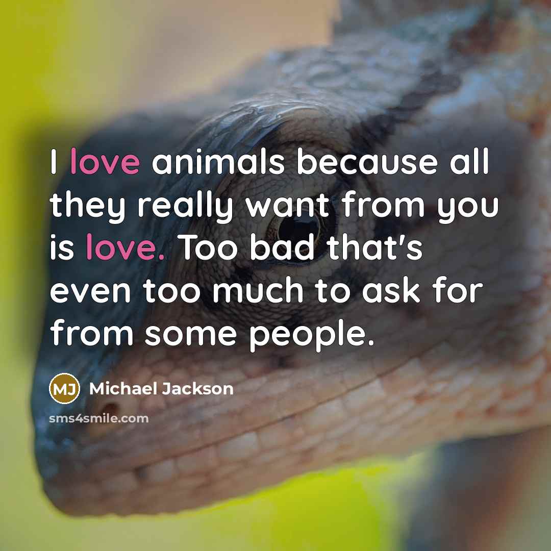 “I love animals because all they really want from you…” quote by Michael Jackson