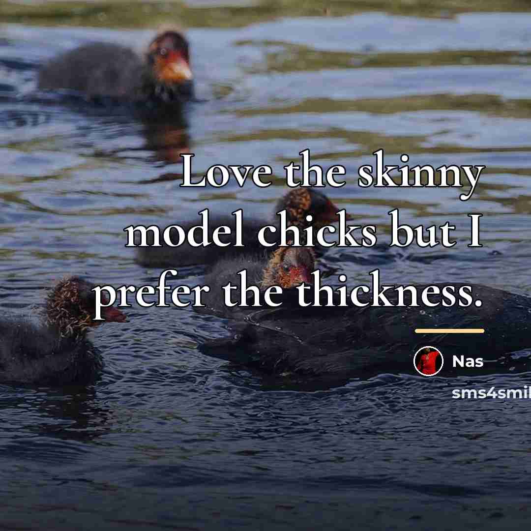 “Love the skinny model chicks but I prefer the thickness.…” quote by Nas