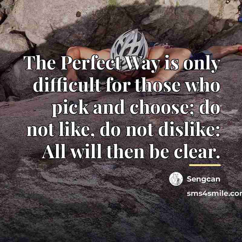 “The Perfect Way is only difficult for those who pick…” quote by Sengcan