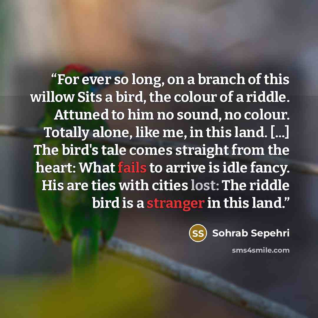 “For ever so long, on a branch of this willow Sits a bird, the colour of a riddle. Attuned to him no sound, no colour. Totally alone, like me, in this land. [...] The bird's tale comes straight from the heart: What fails to arrive is idle fancy. His are ties with cities lost: The riddle bird is a…” quote by Sohrab Sepehri