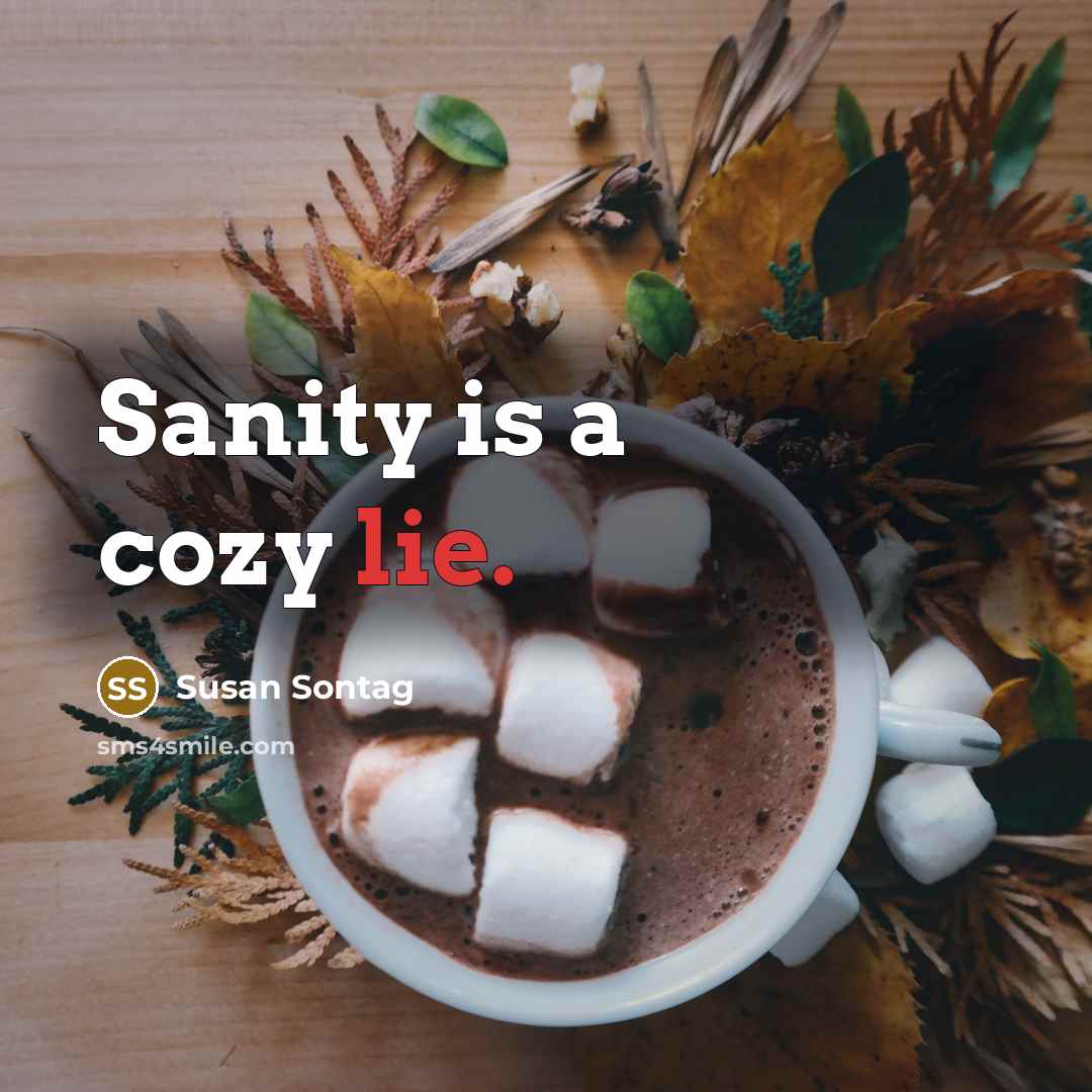 “Sanity is a cozy lie.…” quote by Susan Sontag