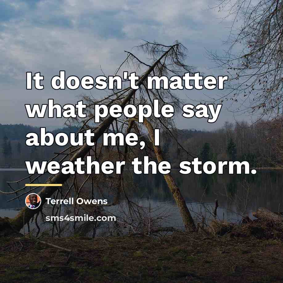“It doesn't matter what people say about me, I weather…” quote by Terrell Owens