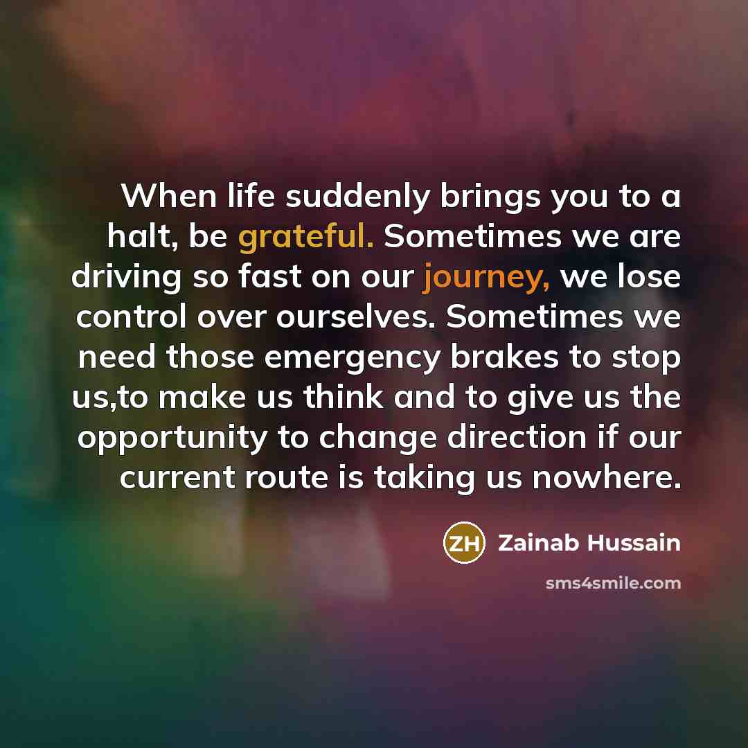 “When life suddenly brings you to a halt, be grateful.…” quote by Zainab Hussain
