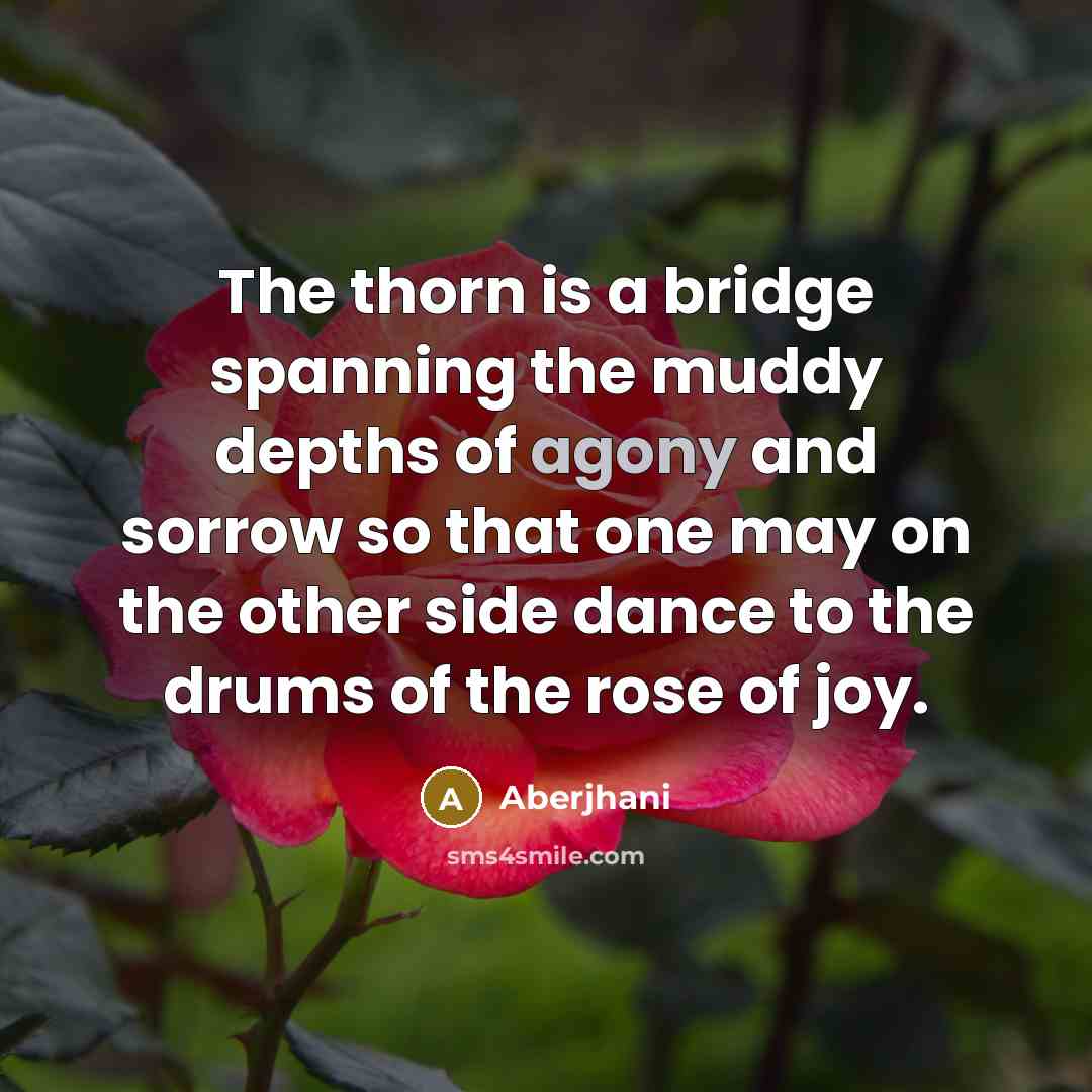 “The thorn is a bridge spanning the muddy depths of…” quote by Aberjhani