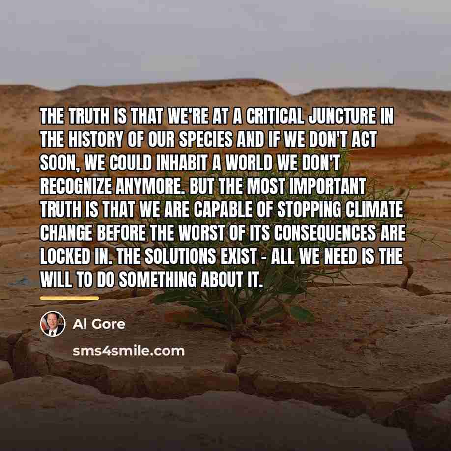 “The truth is that we're at a critical juncture in…” quote by Al Gore