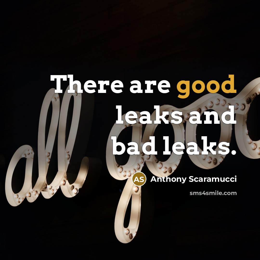 “There are good leaks and bad leaks.…” quote by Anthony Scaramucci