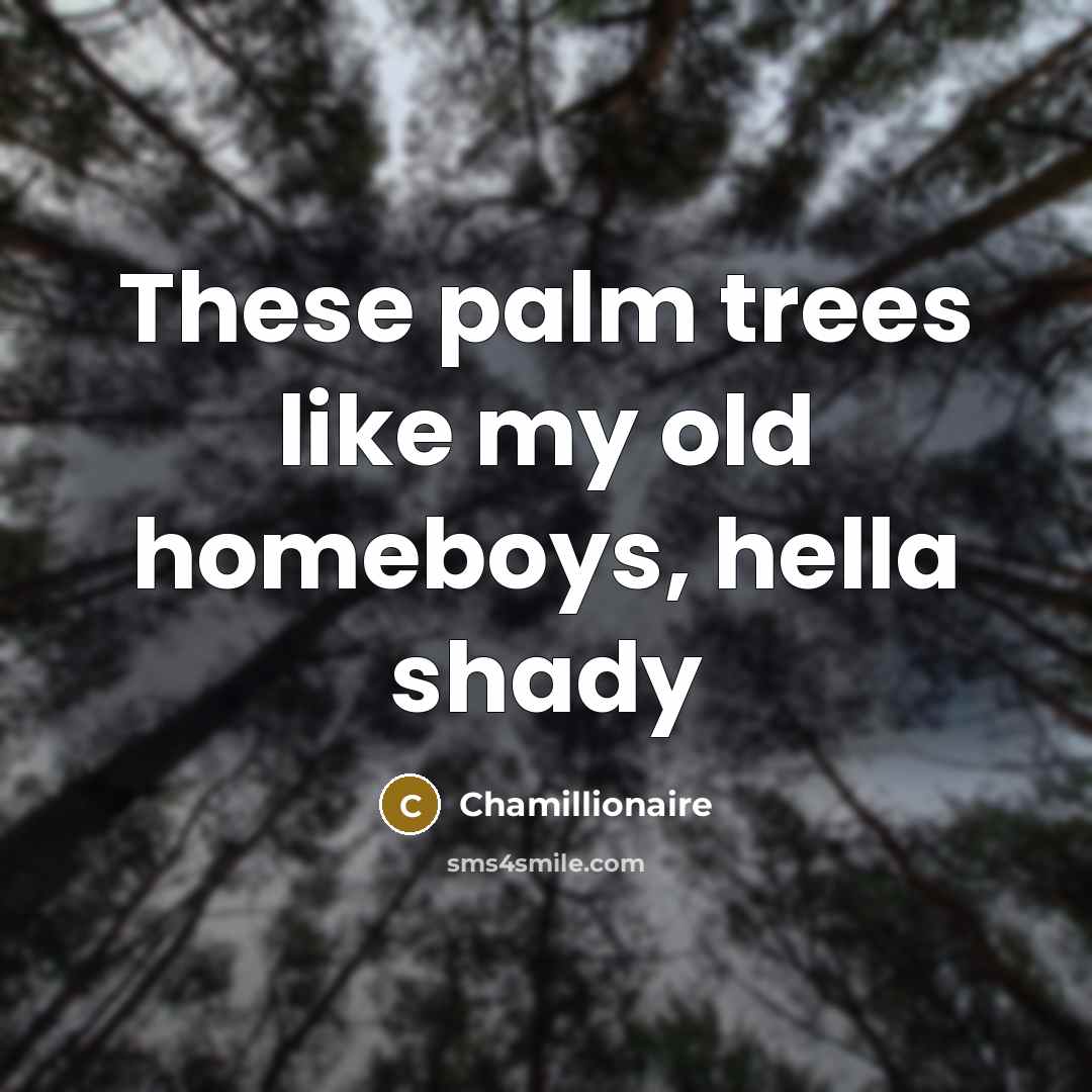 “These palm trees like my old homeboys, hella shady…” quote by Chamillionaire