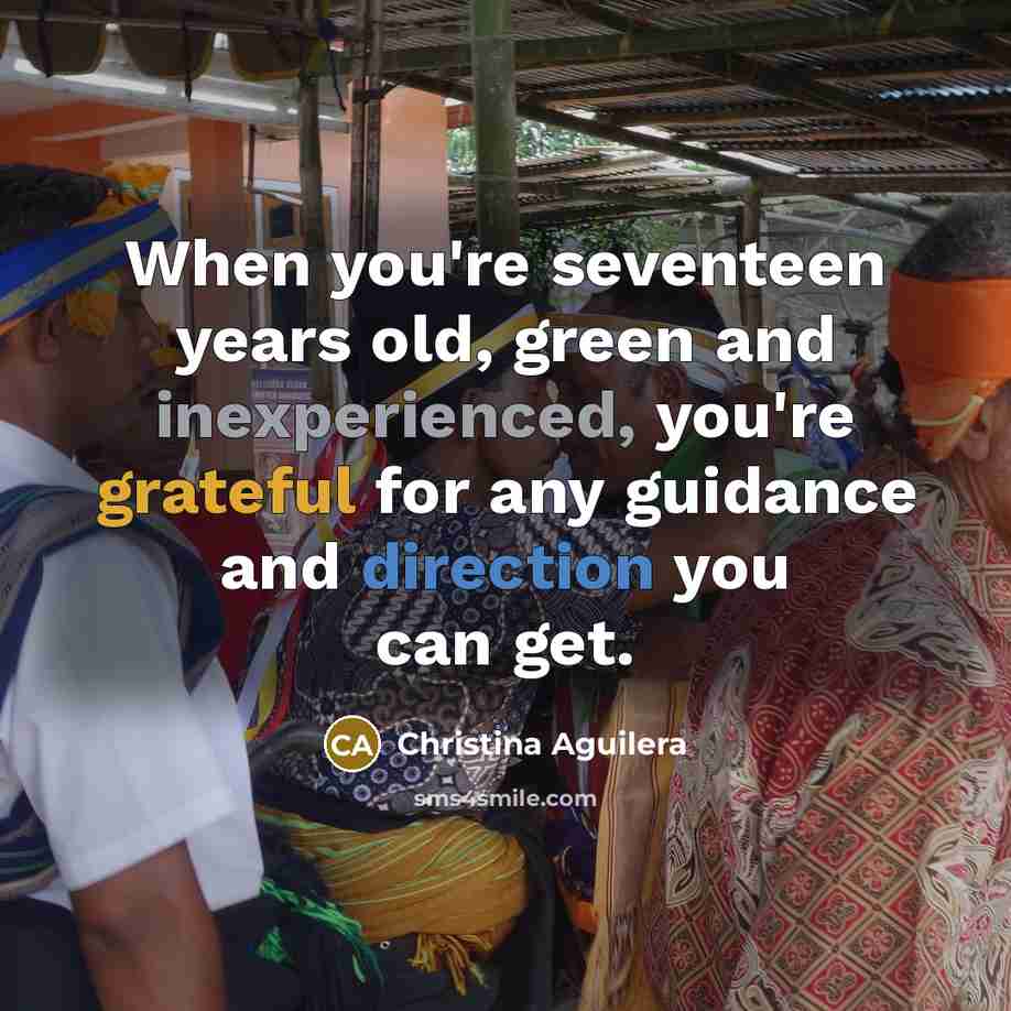 “When you're seventeen years old, green and inexperienced, you're grateful…” quote by Christina Aguilera
