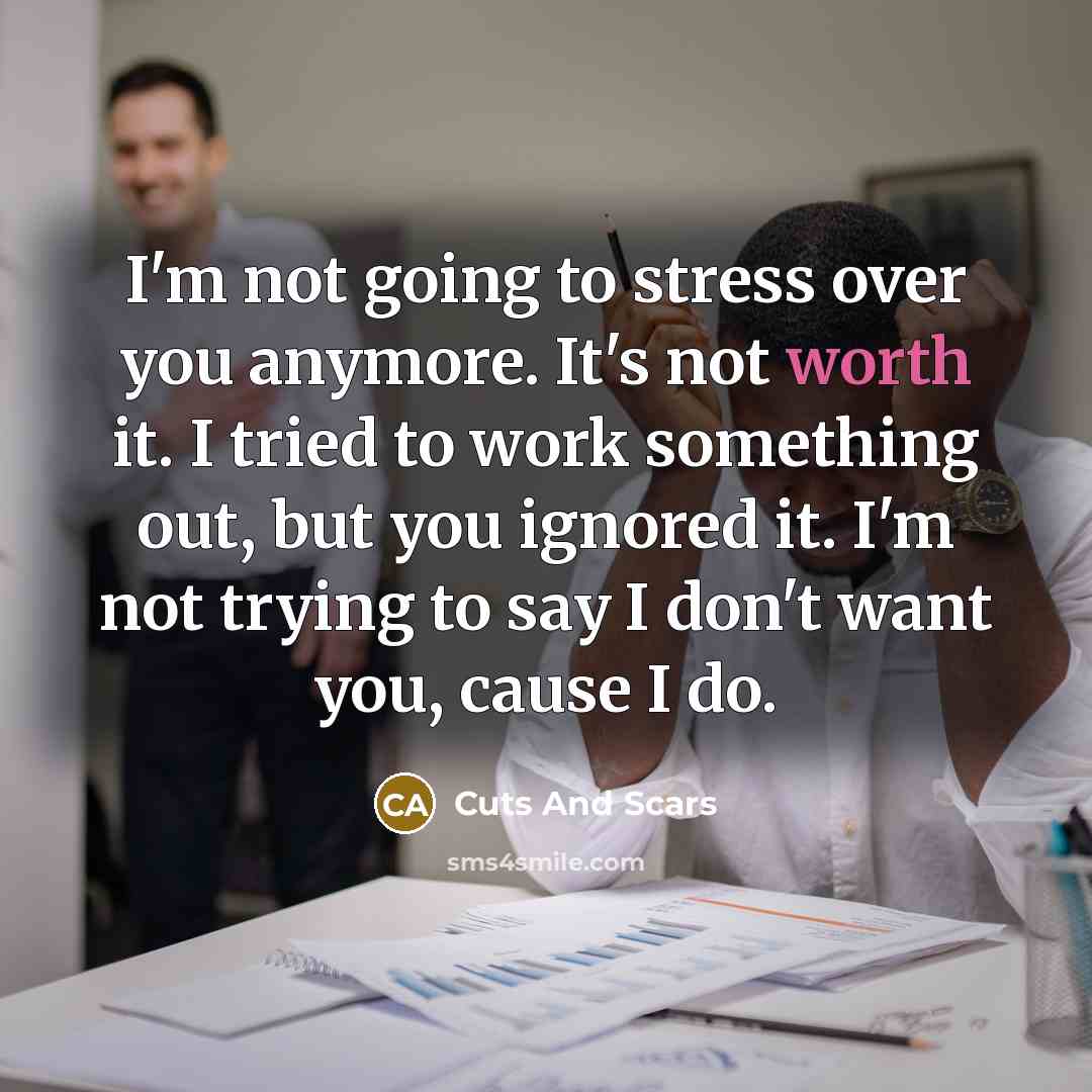 “I'm not going to stress over you anymore. It's not…” quote by Cuts And Scars