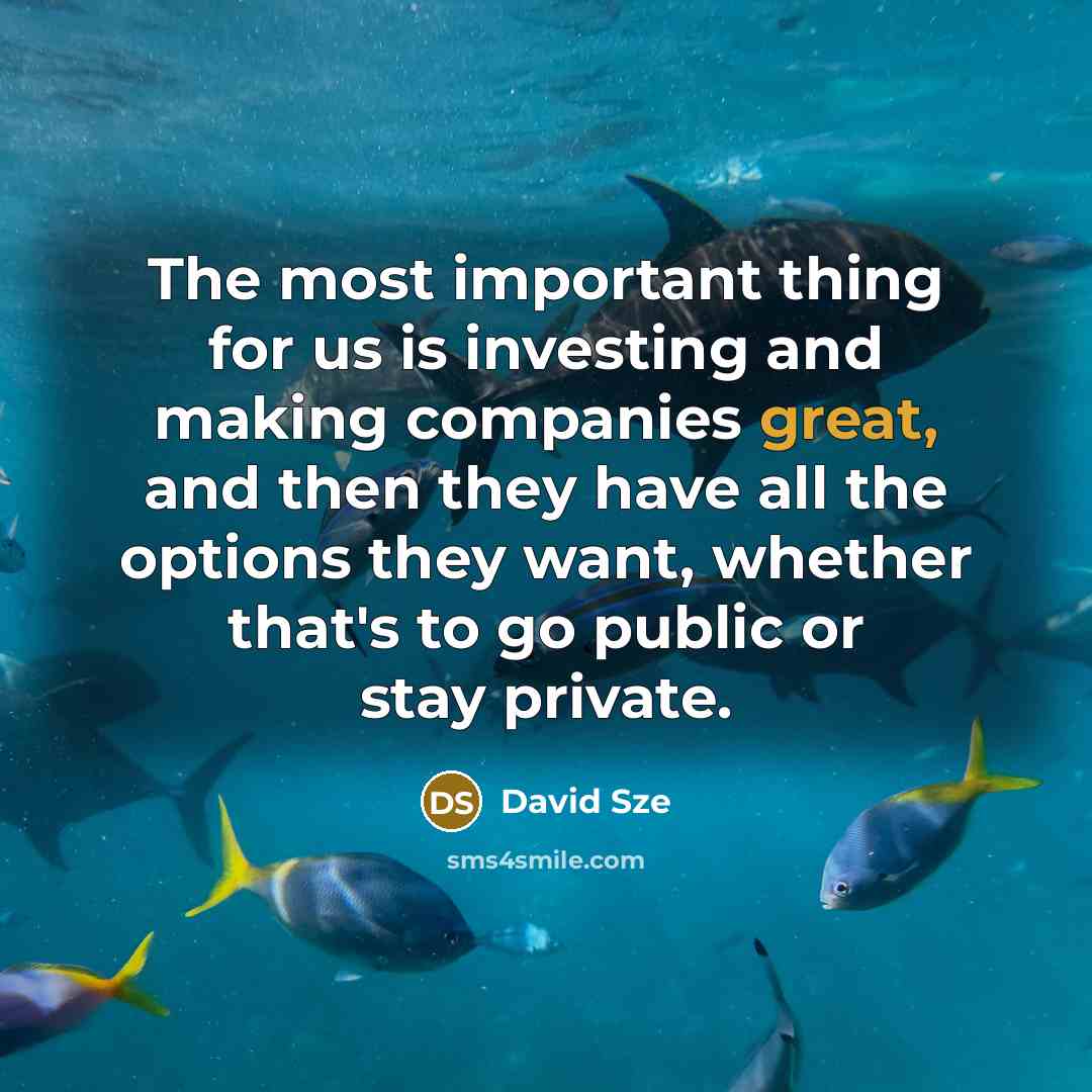 “The most important thing for us is investing and making…” quote by David Sze