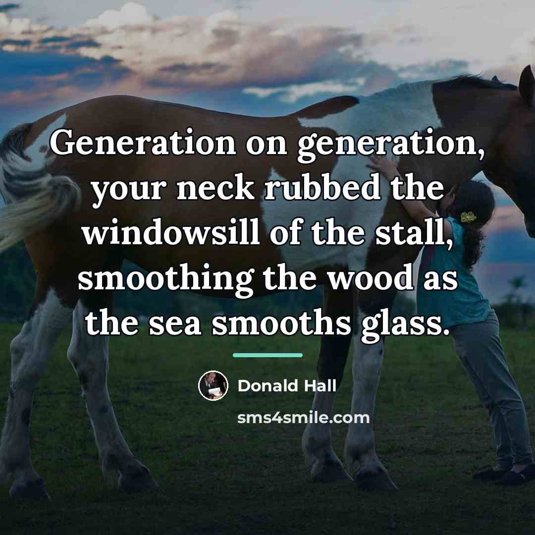 “Generation on generation, your neck rubbed the windowsill of the…” quote by Donald Hall