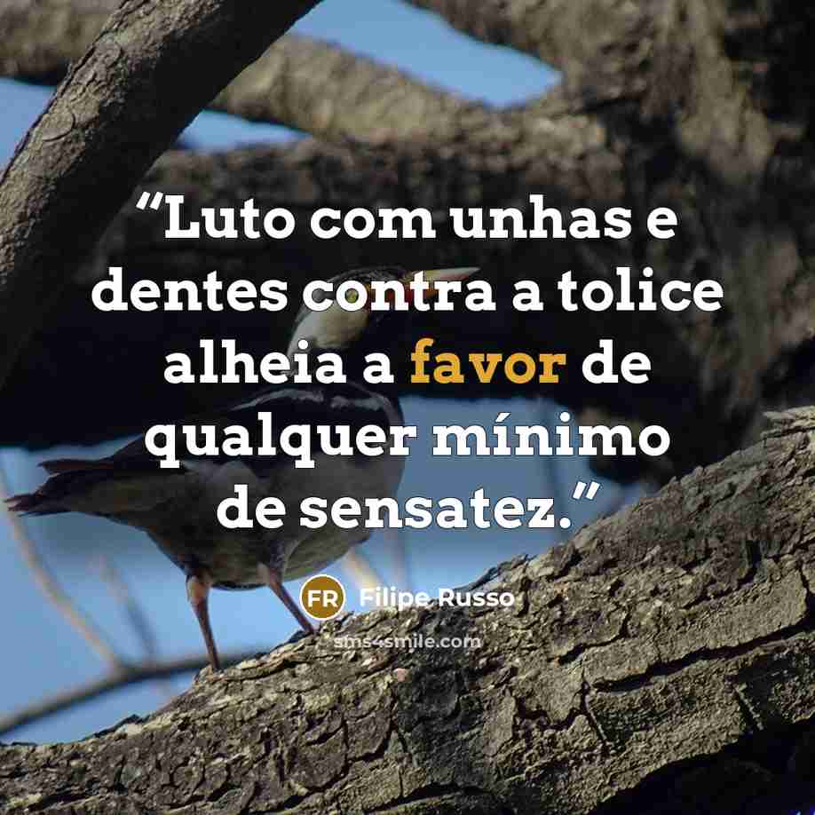 “Luto com unhas e dentes contra a tolice alheia a favor de qualquer mínimo de sensatez.” quote by Filipe Russo