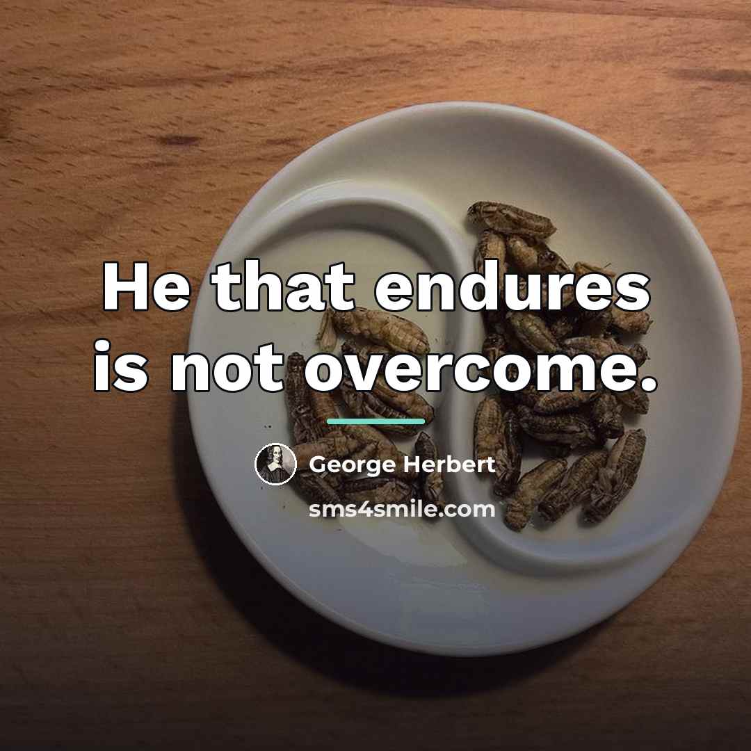 “He that endures is not overcome.…” quote by George Herbert