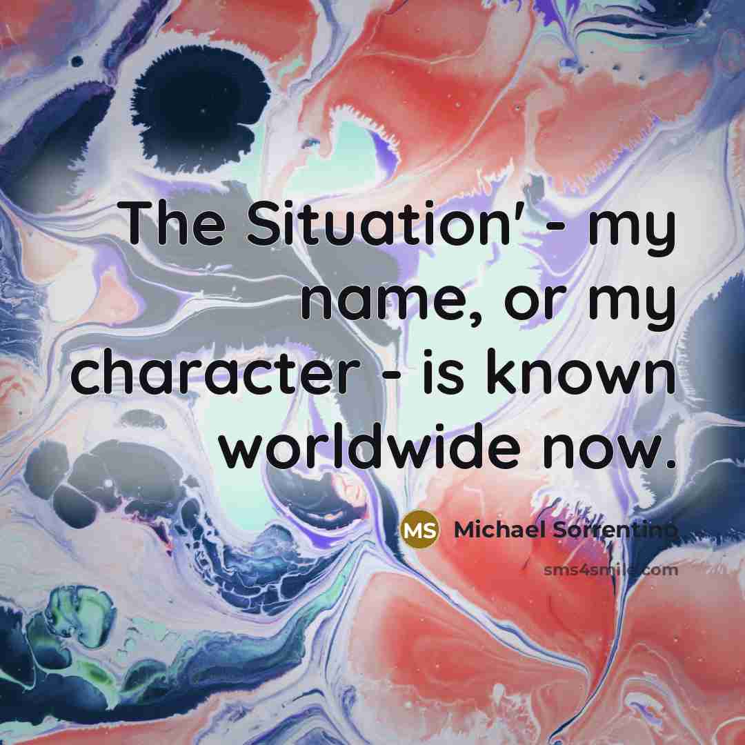 “The Situation' - my name, or my character - is…” quote by Michael Sorrentino