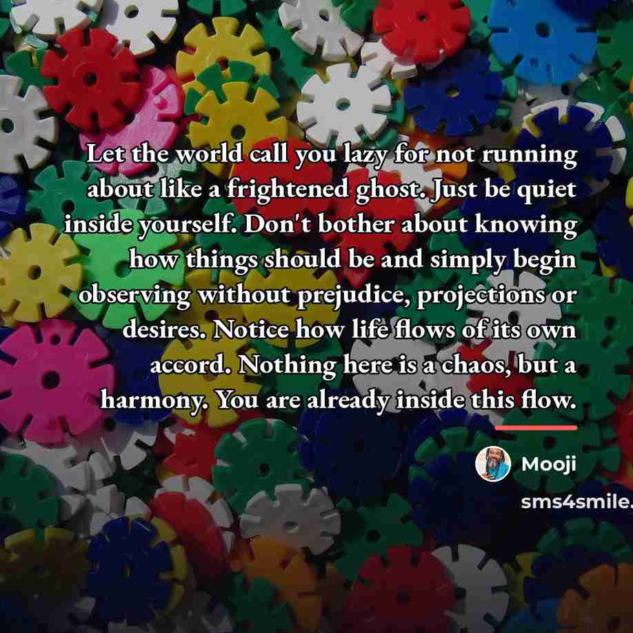 “Let the world call you lazy for not running about…” quote by Mooji