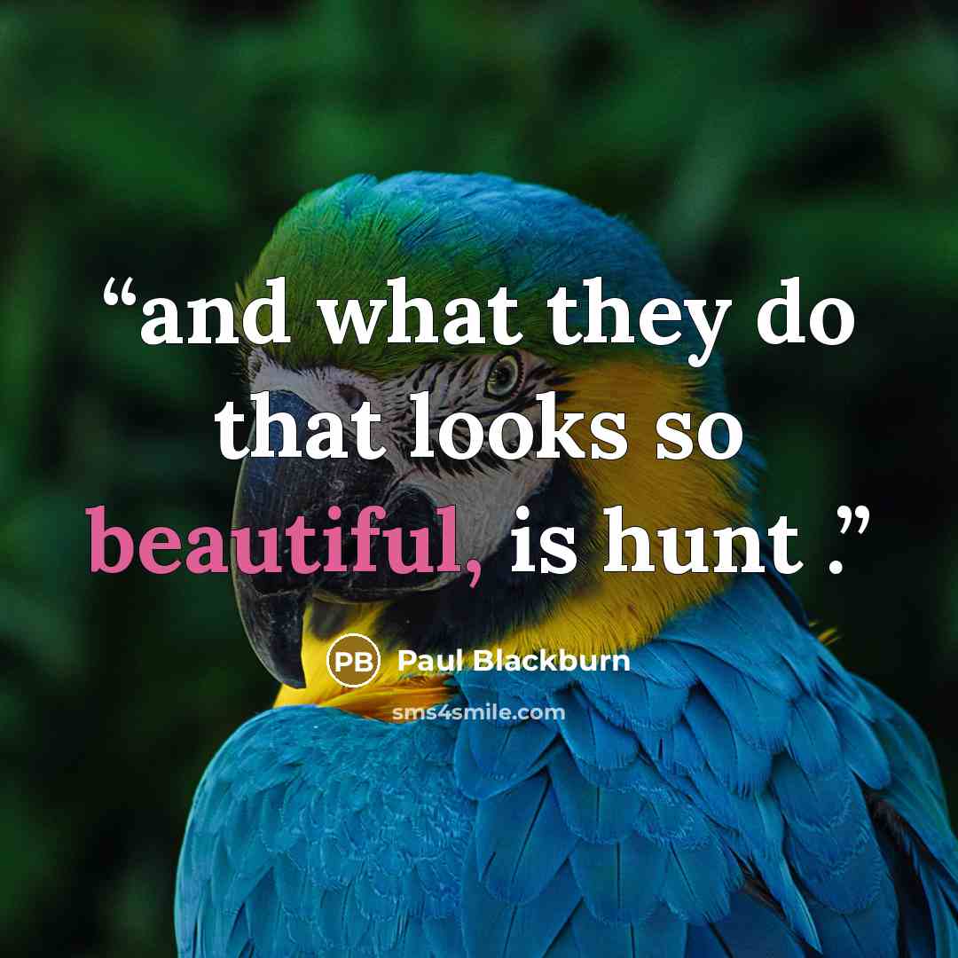 “and what they do that looks so beautiful, is hunt .” quote by Paul Blackburn