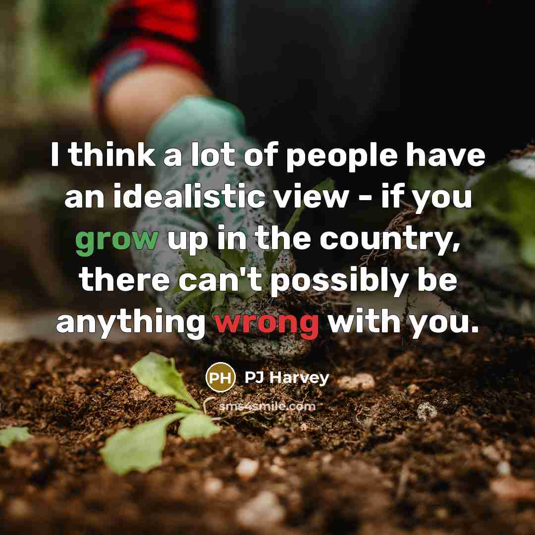 “I think a lot of people have an idealistic view…” quote by PJ Harvey