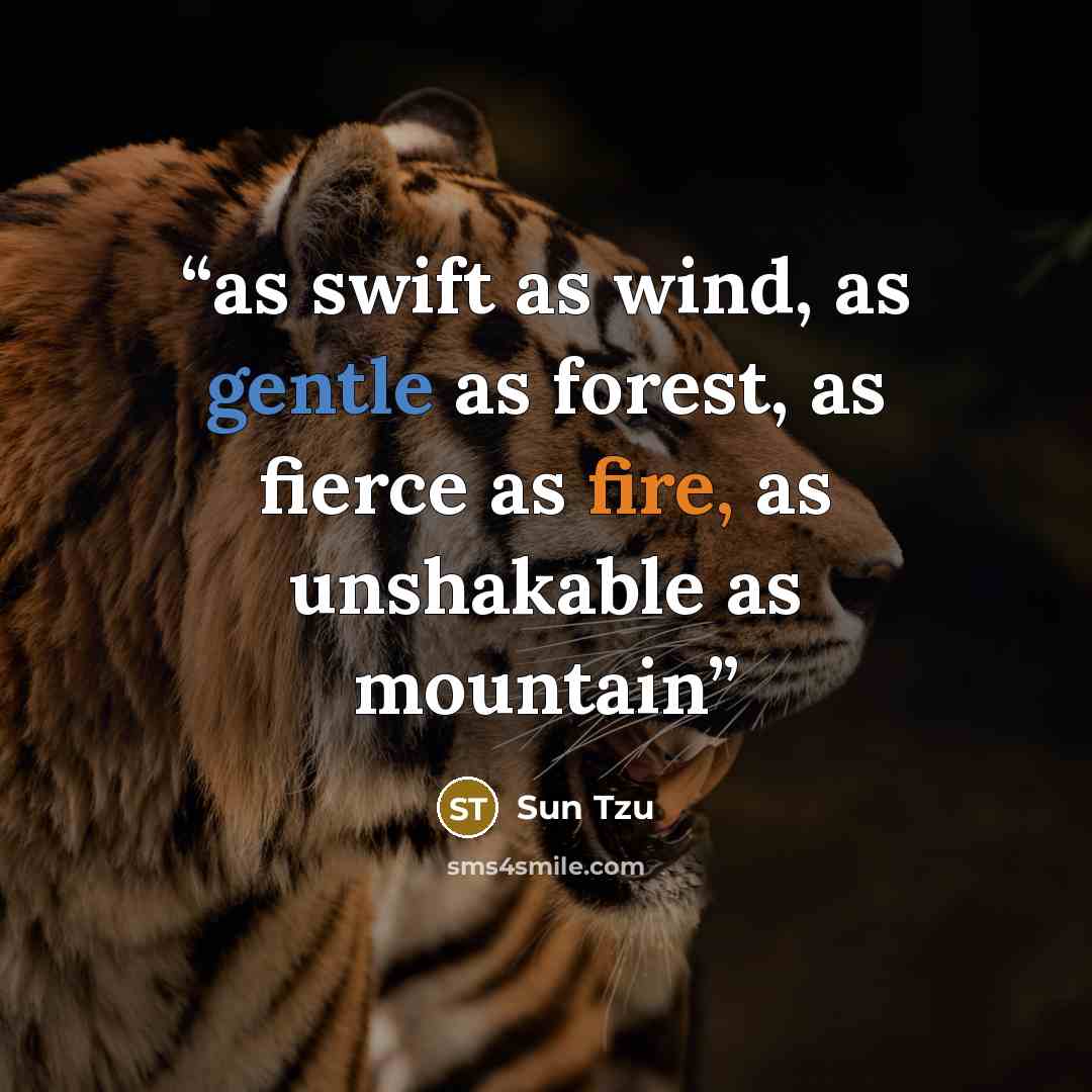 “as swift as wind, as gentle as forest, as fierce as fire, as unshakable as mountain” quote by Sun Tzu
