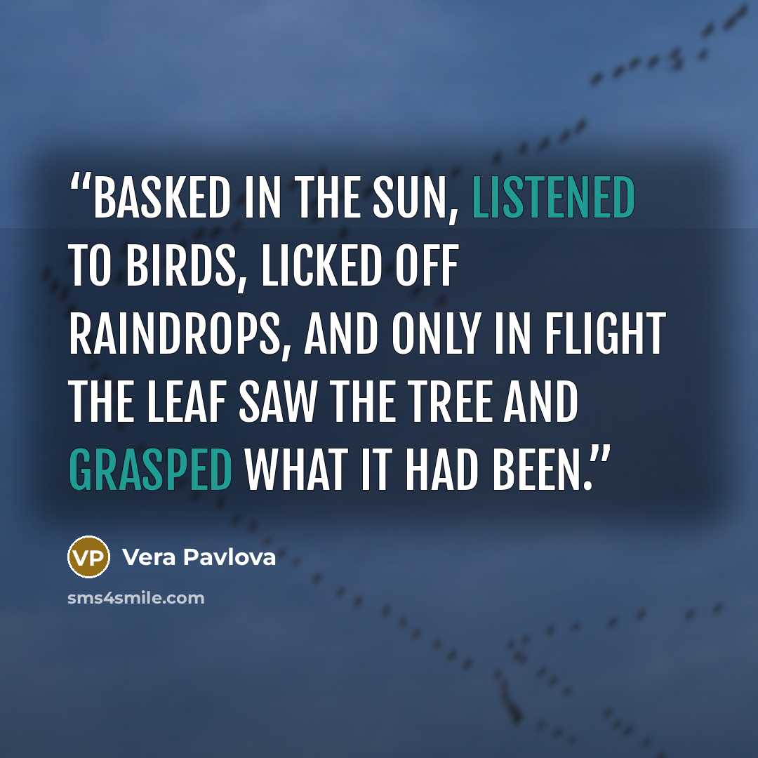 “Basked in the sun, listened to birds, licked off raindrops, and only in flight the leaf saw the tree and grasped what it had been.” quote by Vera Pavlova