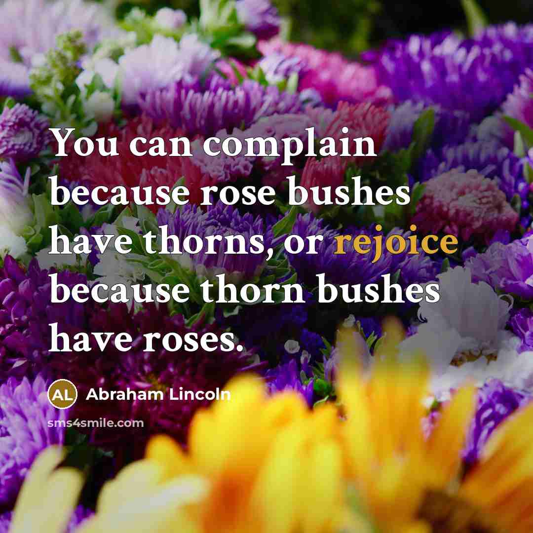 “You can complain because rose bushes have thorns, or rejoice because thorn bushes have roses.” quote by Abraham Lincoln