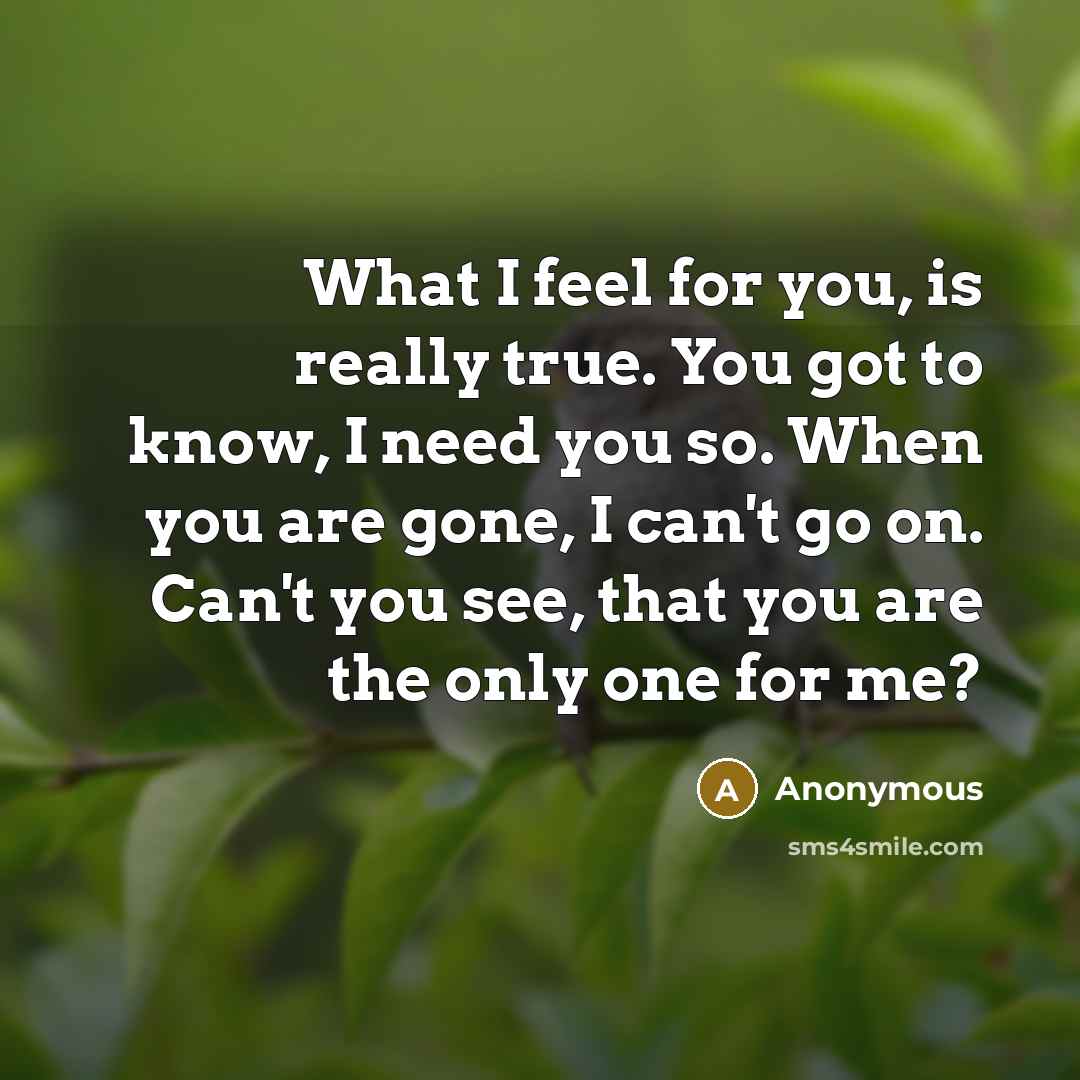 “What I feel for you, is really true. You got…” quote by Anonymous