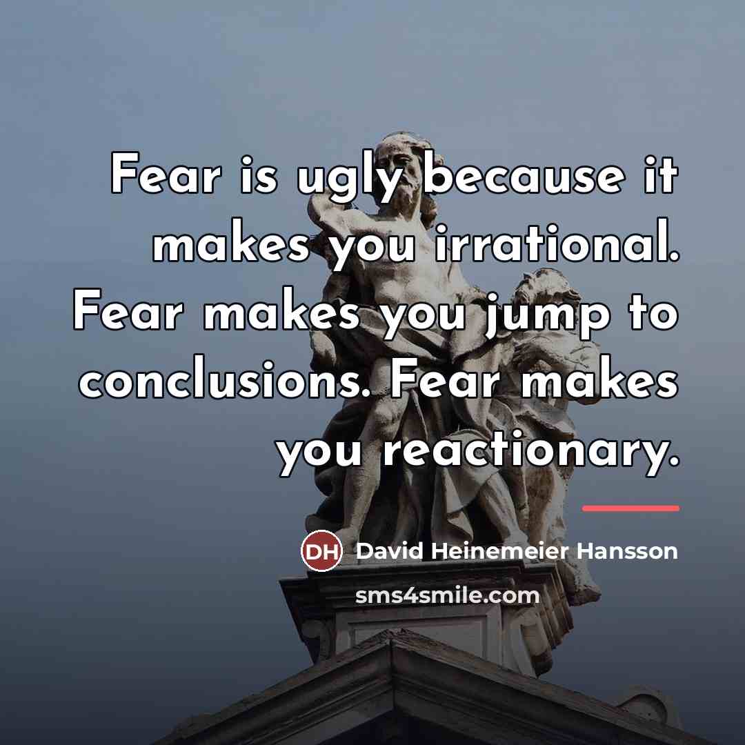 “Fear is ugly because it makes you irrational. Fear makes…” quote by David Heinemeier Hansson