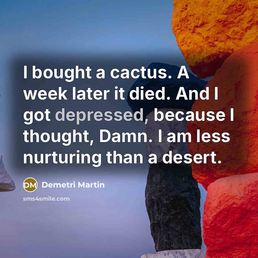 “I bought a cactus. A week later it died. And…” quote by Demetri Martin