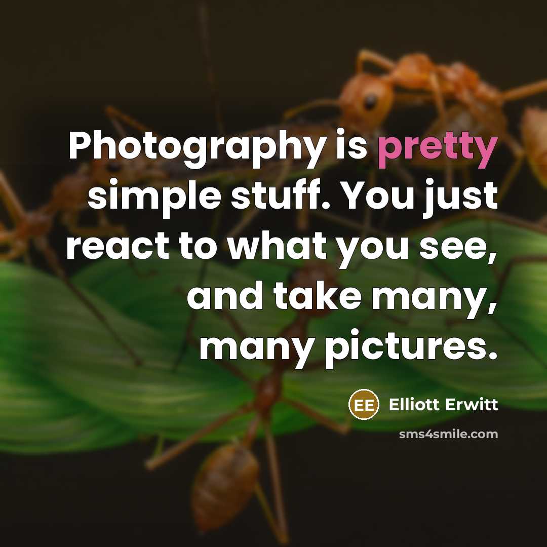 “Photography is pretty simple stuff. You just react to what…” quote by Elliott Erwitt