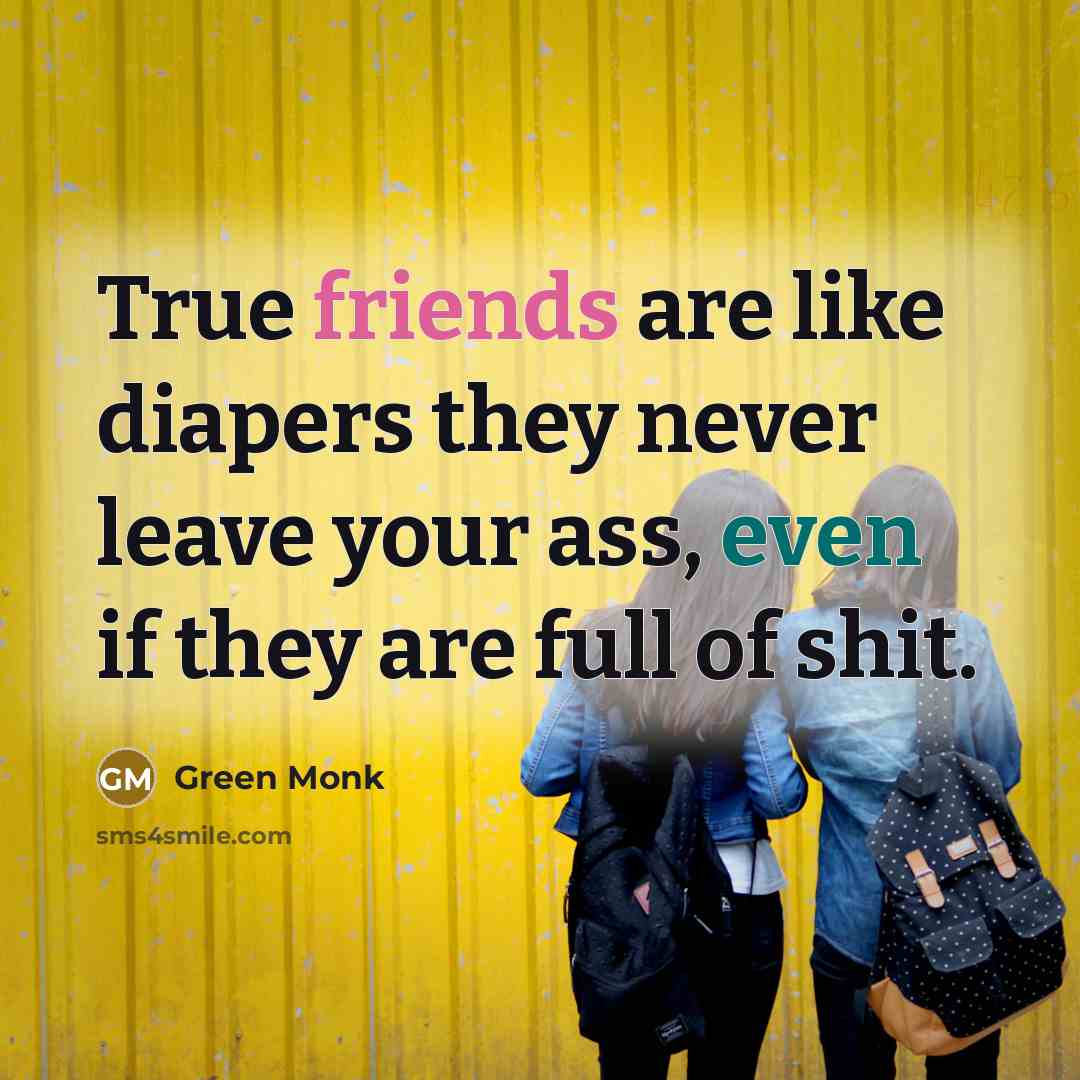“True friends are like diapers they never leave your ass, even if they are full of shit.” quote by Green Monk