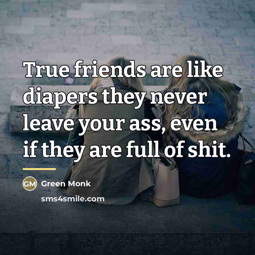 “True friends are like diapers they never leave your ass,…” quote by Green Monk