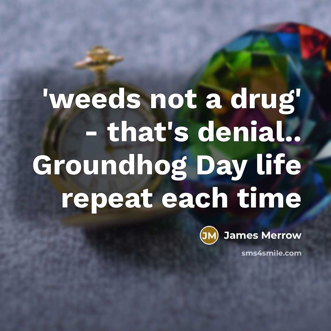 “'weeds not a drug' - that's denial.. Groundhog Day life…” quote by James Merrow